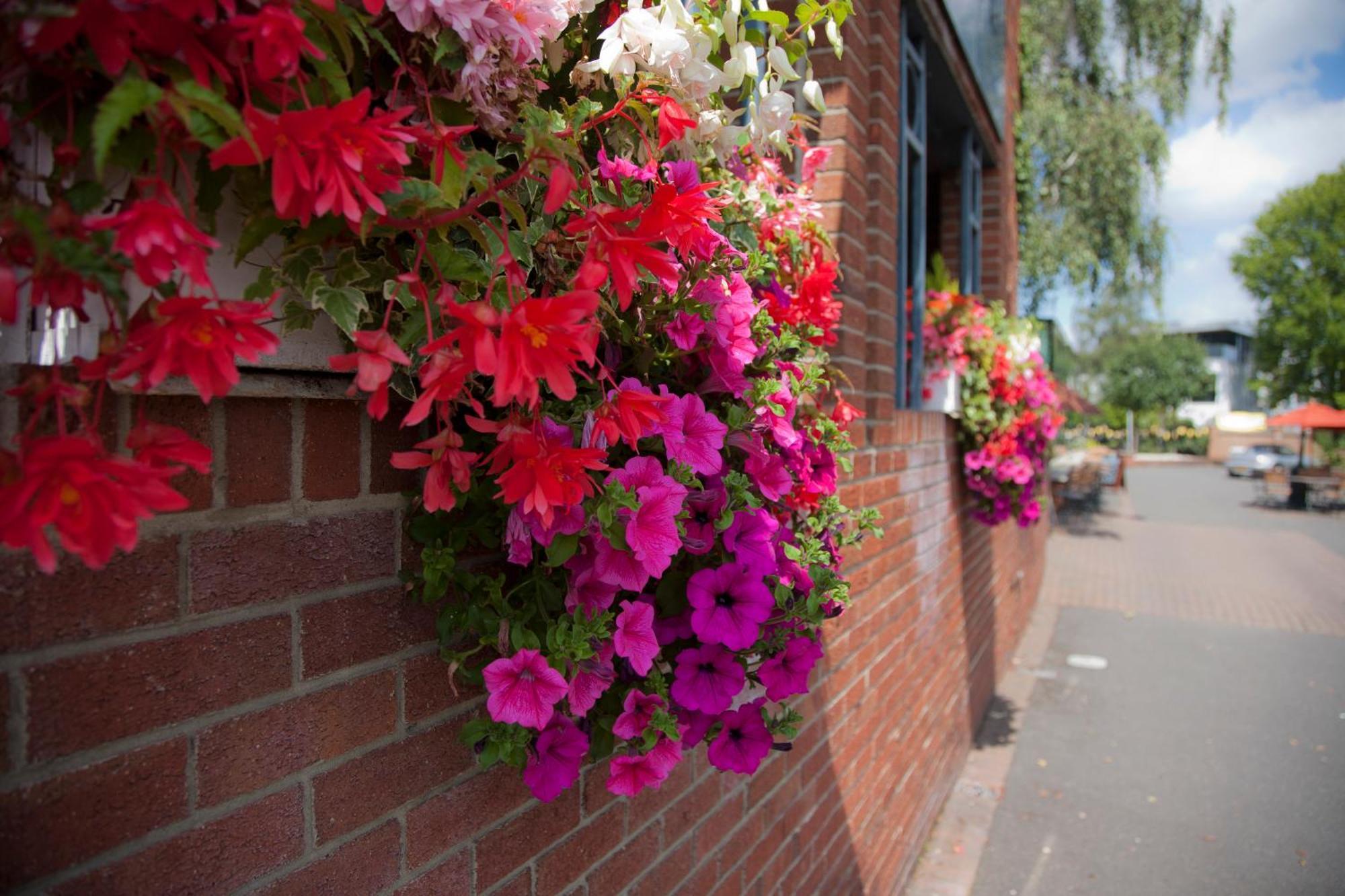 The Alexander Pope Hotel Twickenham Extérieur photo