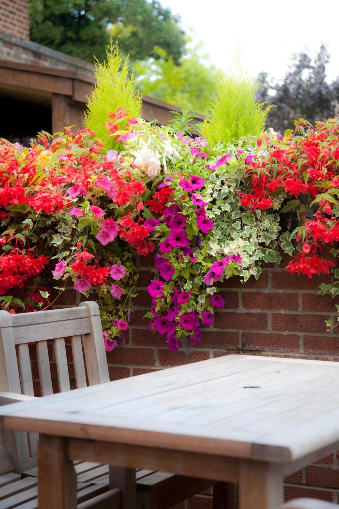The Alexander Pope Hotel Twickenham Extérieur photo